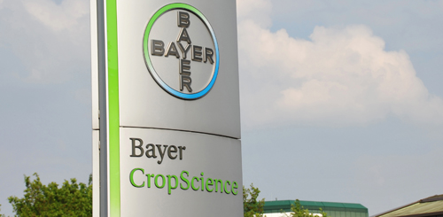 191225 News Bayer