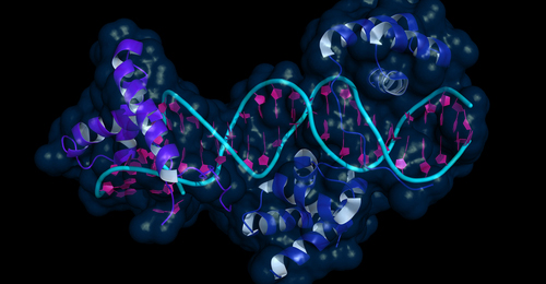 200117 News CRISPR GMwatch